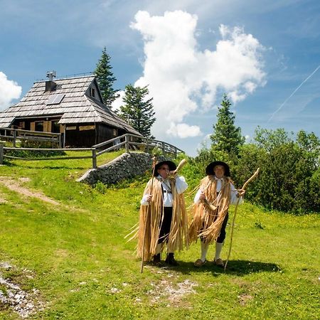 Chalet Tisa Velika Planina Stahovica Eksteriør billede