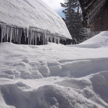 Chalet Tisa Velika Planina Stahovica Eksteriør billede