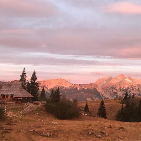 Chalet Tisa Velika Planina Stahovica Eksteriør billede