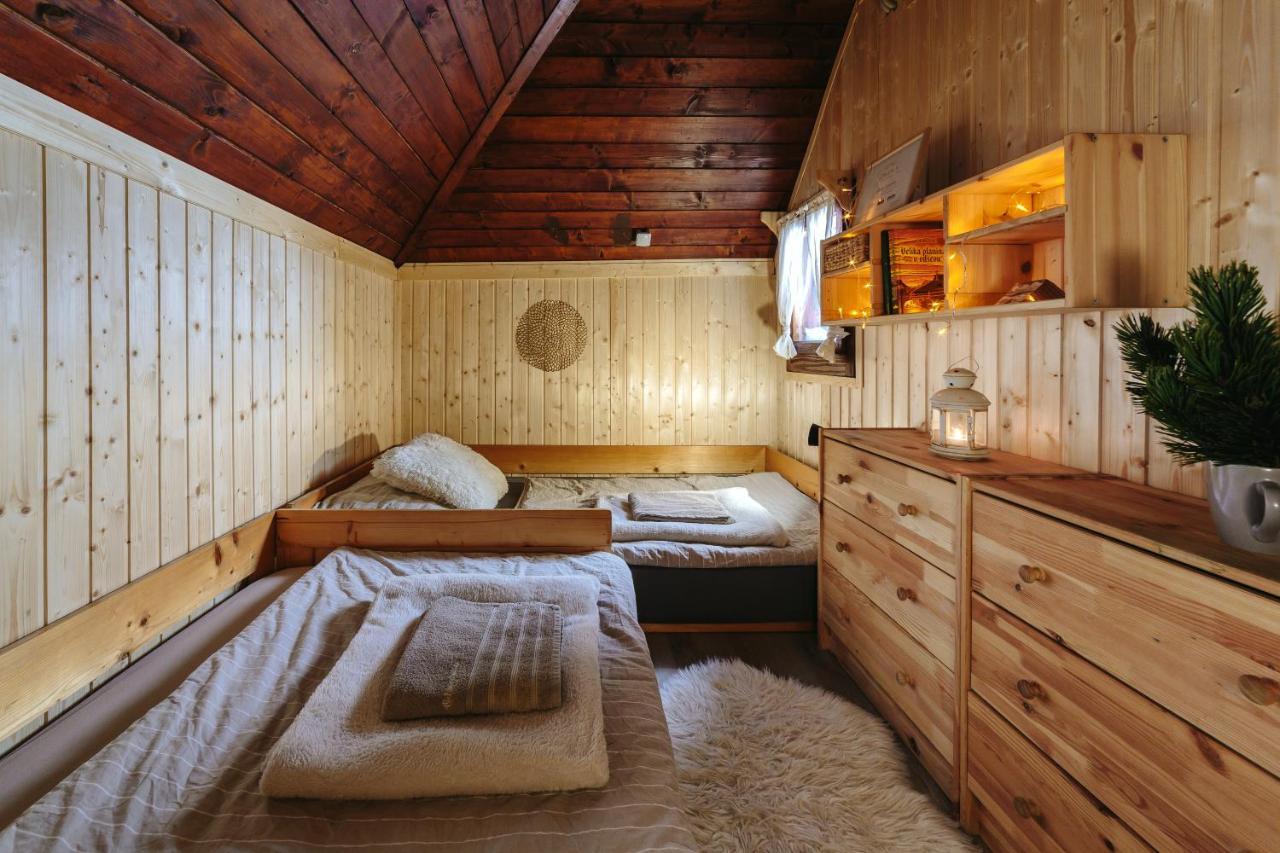 Chalet Tisa Velika Planina Stahovica Eksteriør billede