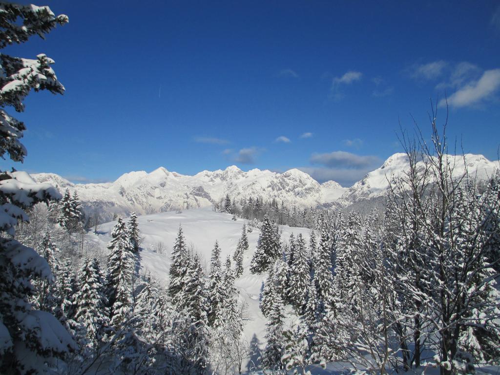 Chalet Tisa Velika Planina Stahovica Værelse billede