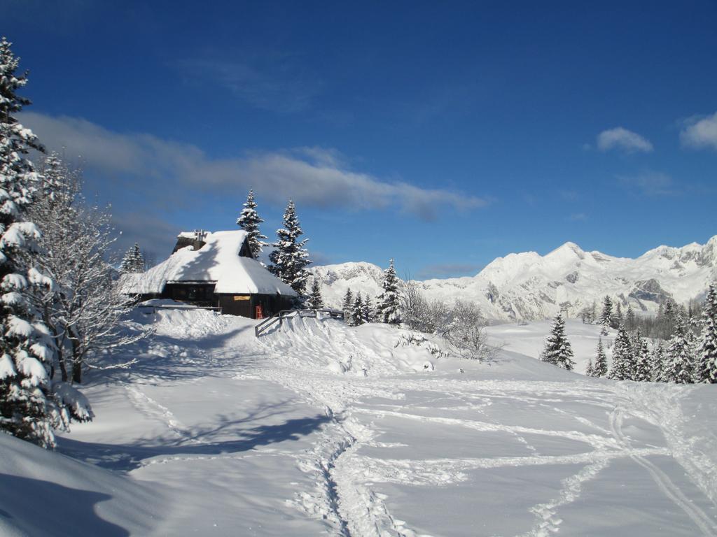 Chalet Tisa Velika Planina Stahovica Værelse billede