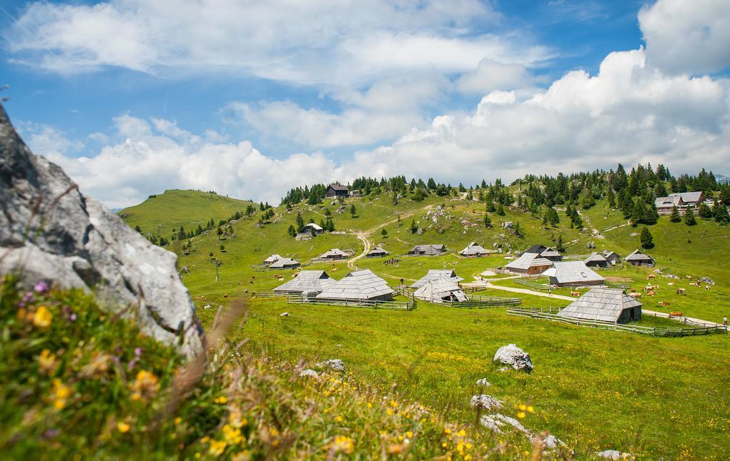 Chalet Tisa Velika Planina Stahovica Værelse billede