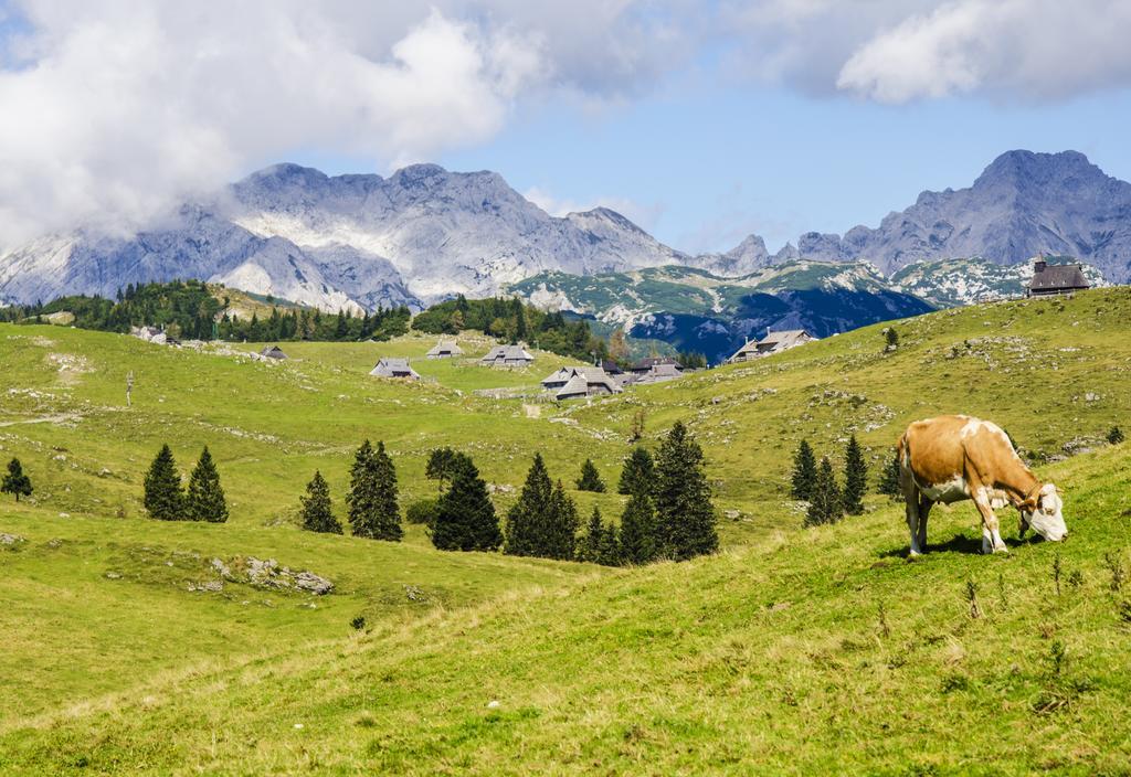 Chalet Tisa Velika Planina Stahovica Værelse billede
