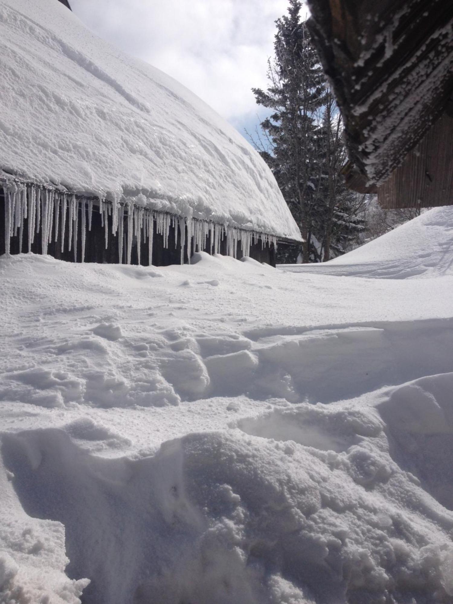 Chalet Tisa Velika Planina Stahovica Eksteriør billede