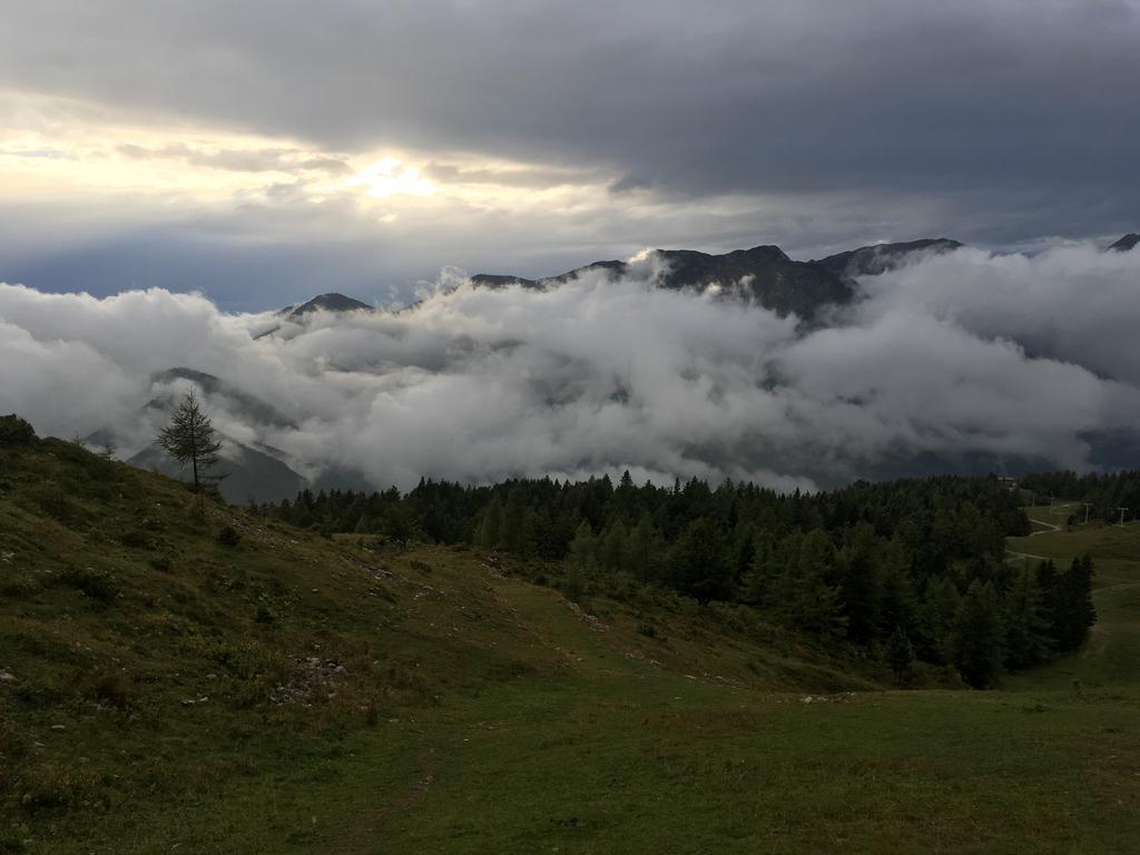 Chalet Tisa Velika Planina Stahovica Eksteriør billede