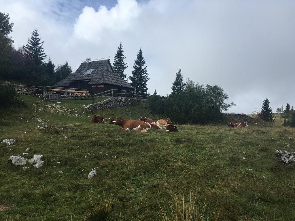 Chalet Tisa Velika Planina Stahovica Eksteriør billede