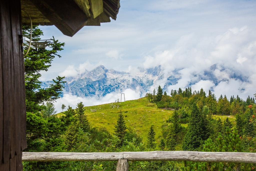 Chalet Tisa Velika Planina Stahovica Eksteriør billede