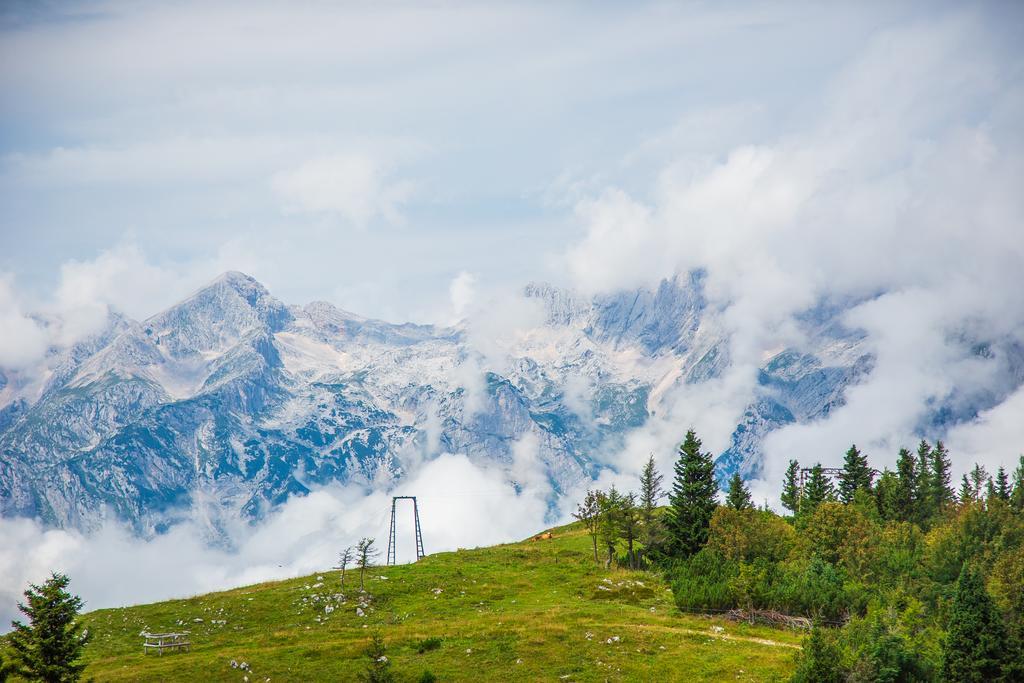 Chalet Tisa Velika Planina Stahovica Eksteriør billede