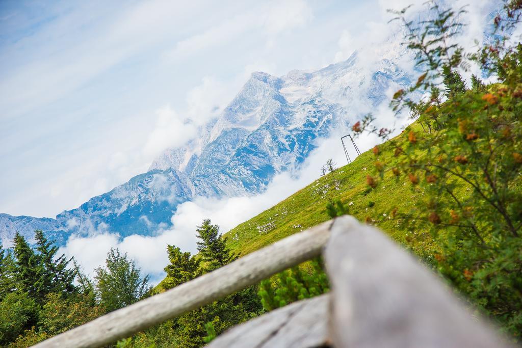 Chalet Tisa Velika Planina Stahovica Eksteriør billede