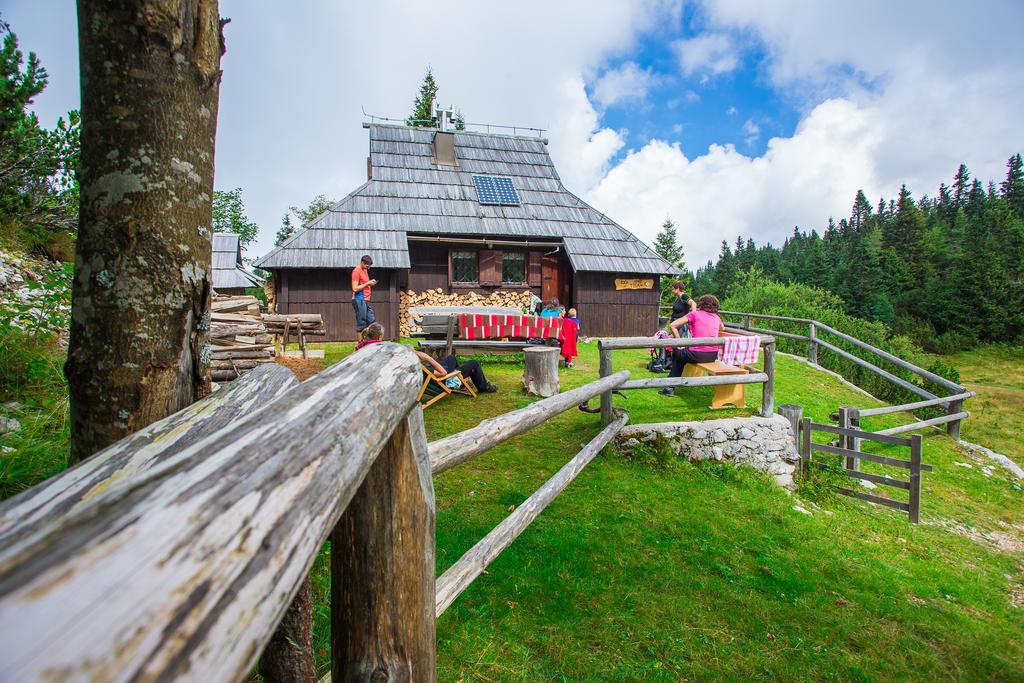 Chalet Tisa Velika Planina Stahovica Eksteriør billede