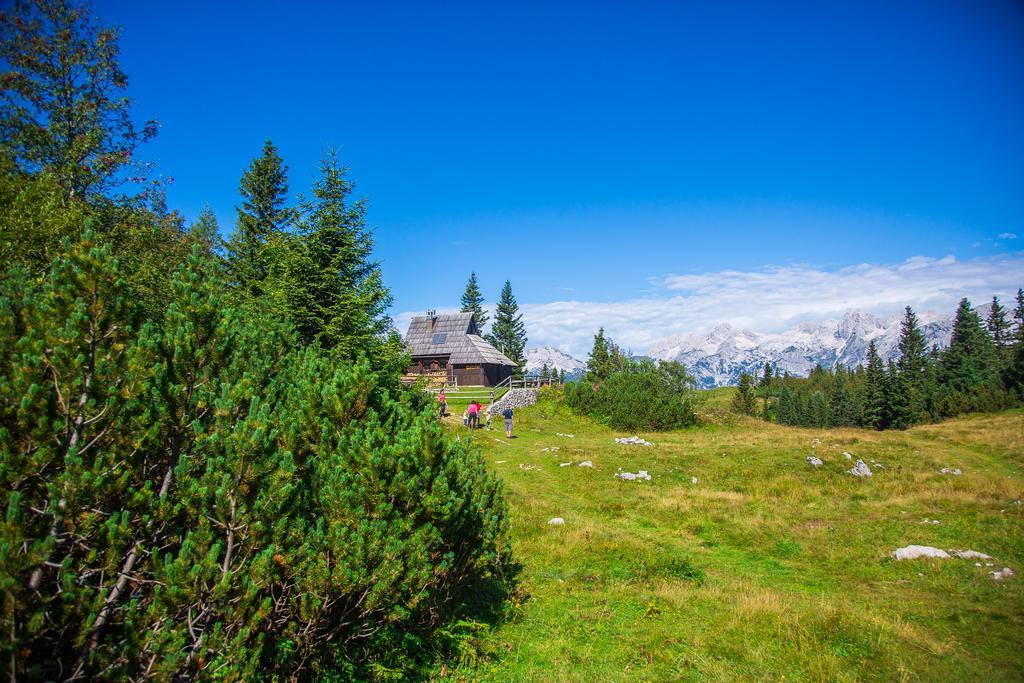 Chalet Tisa Velika Planina Stahovica Eksteriør billede