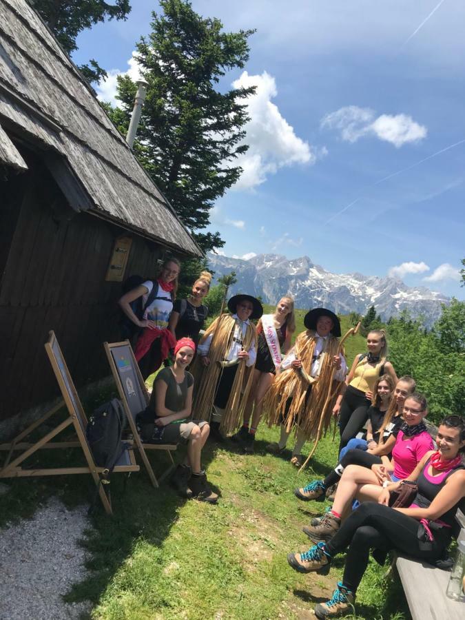 Chalet Tisa Velika Planina Stahovica Eksteriør billede