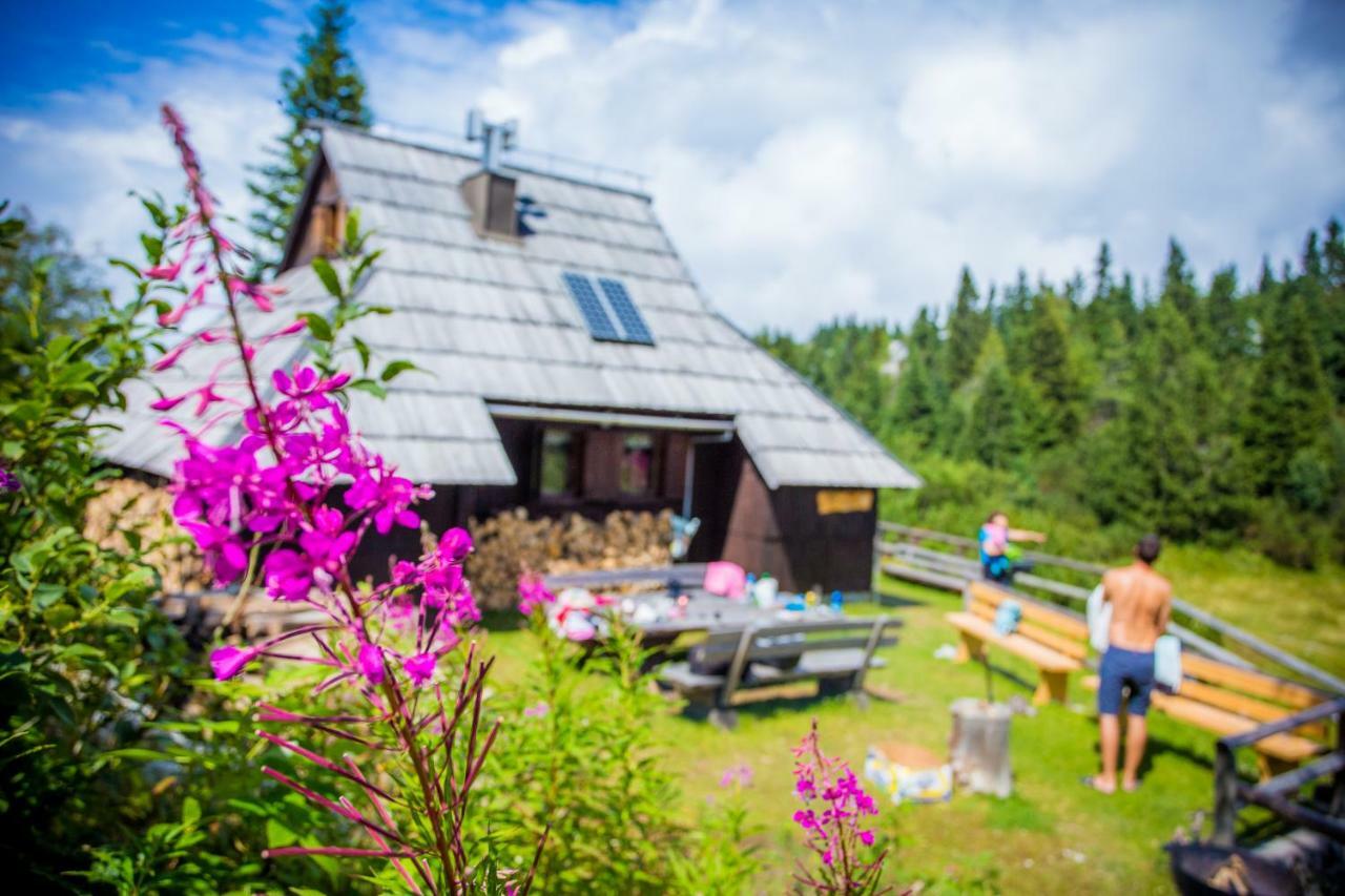 Chalet Tisa Velika Planina Stahovica Eksteriør billede