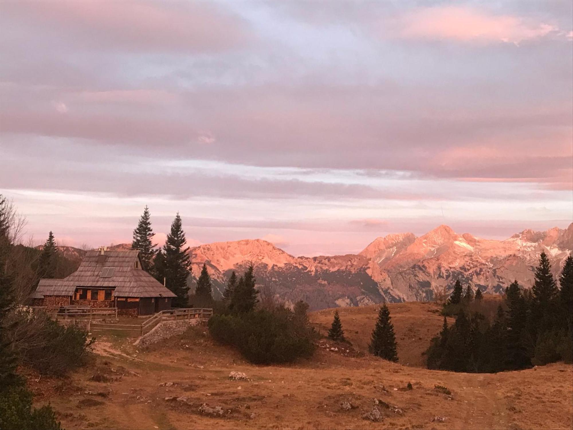 Chalet Tisa Velika Planina Stahovica Eksteriør billede